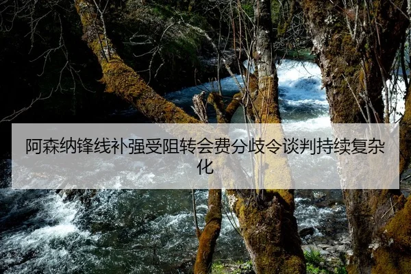 阿森纳锋线补强受阻转会费分歧令谈判持续复杂化